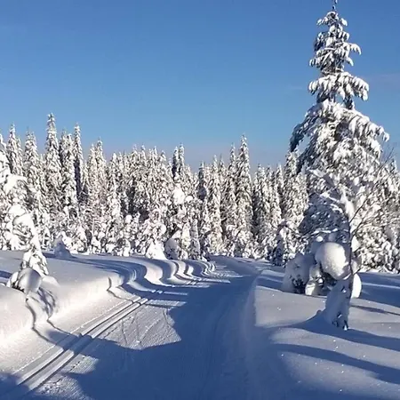 Juolukka Chalet Syöte